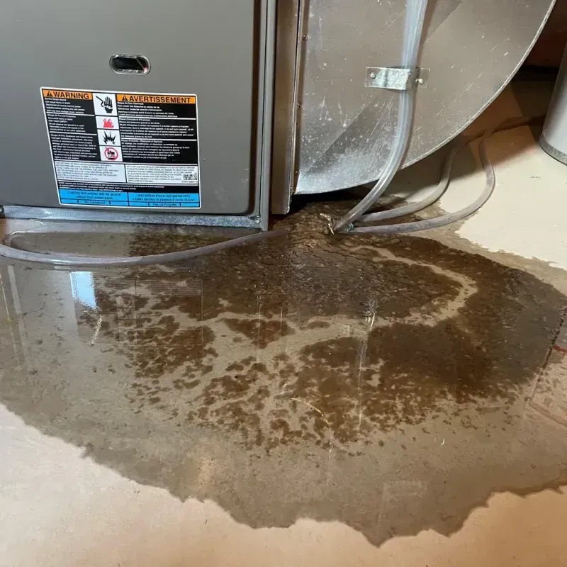 Appliance Leak Cleanup in Greene County, AL